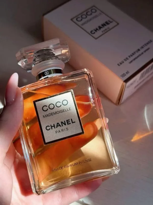 ⁦Coco⁩ - الصورة ⁦2⁩