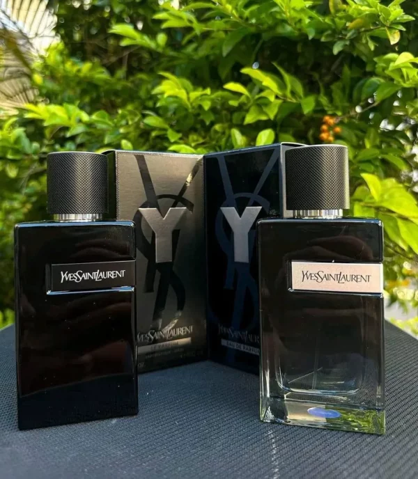 ⁦Y⁩ - الصورة ⁦2⁩