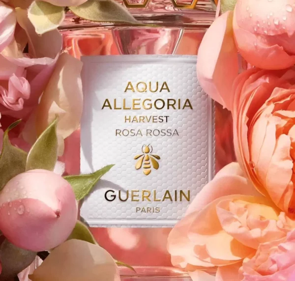 Aqua Allegoria Rosa Rossa - الصورة 3