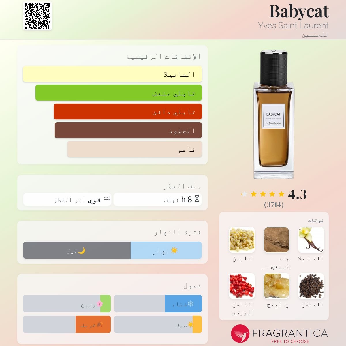 بيبي كات ايف سان لوران - الصورة 2