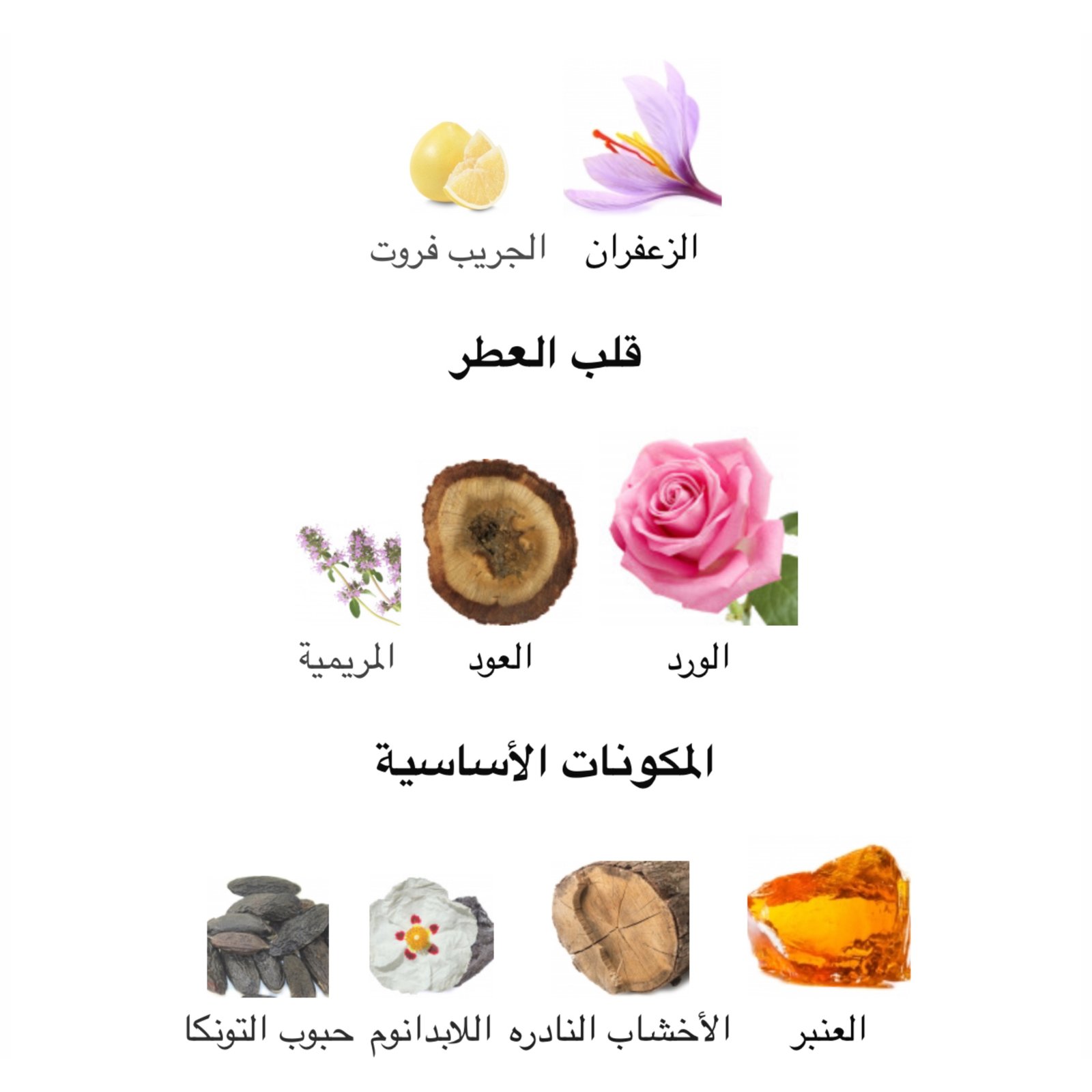 ليل سحري دولتشي اند غابانا - الصورة 2