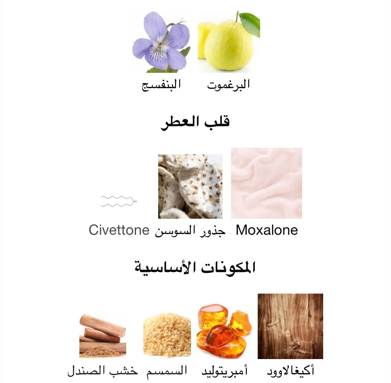 نيشان مينت تو بي سين - الصورة 2