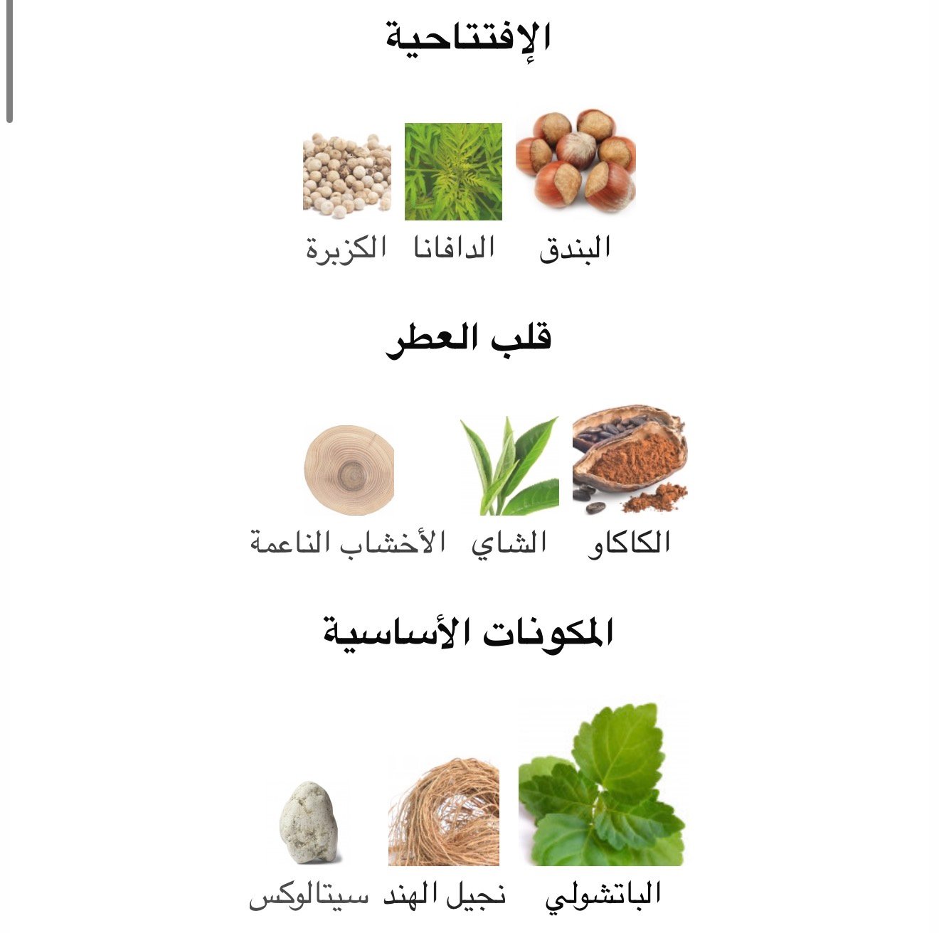 باتشولي مانيا اسينشال بارفام - الصورة 2