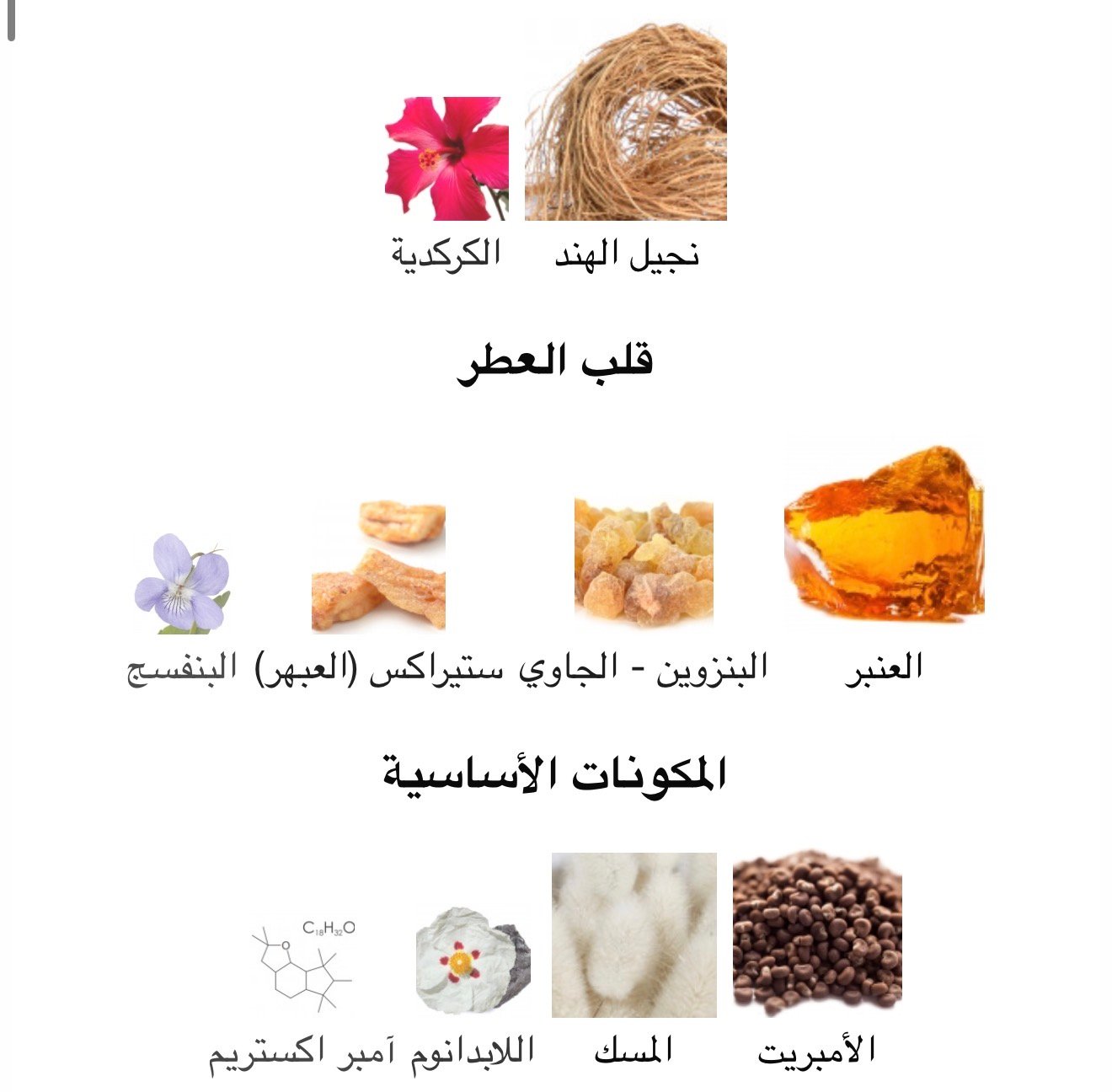 رامون بيجار ديب عنبر اكستريت دي بارفام - الصورة 3
