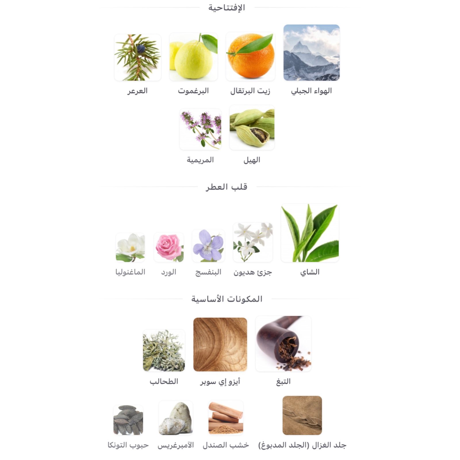 اورموندي جين مونتباكو انتنسيفيو بارفام - الصورة 2