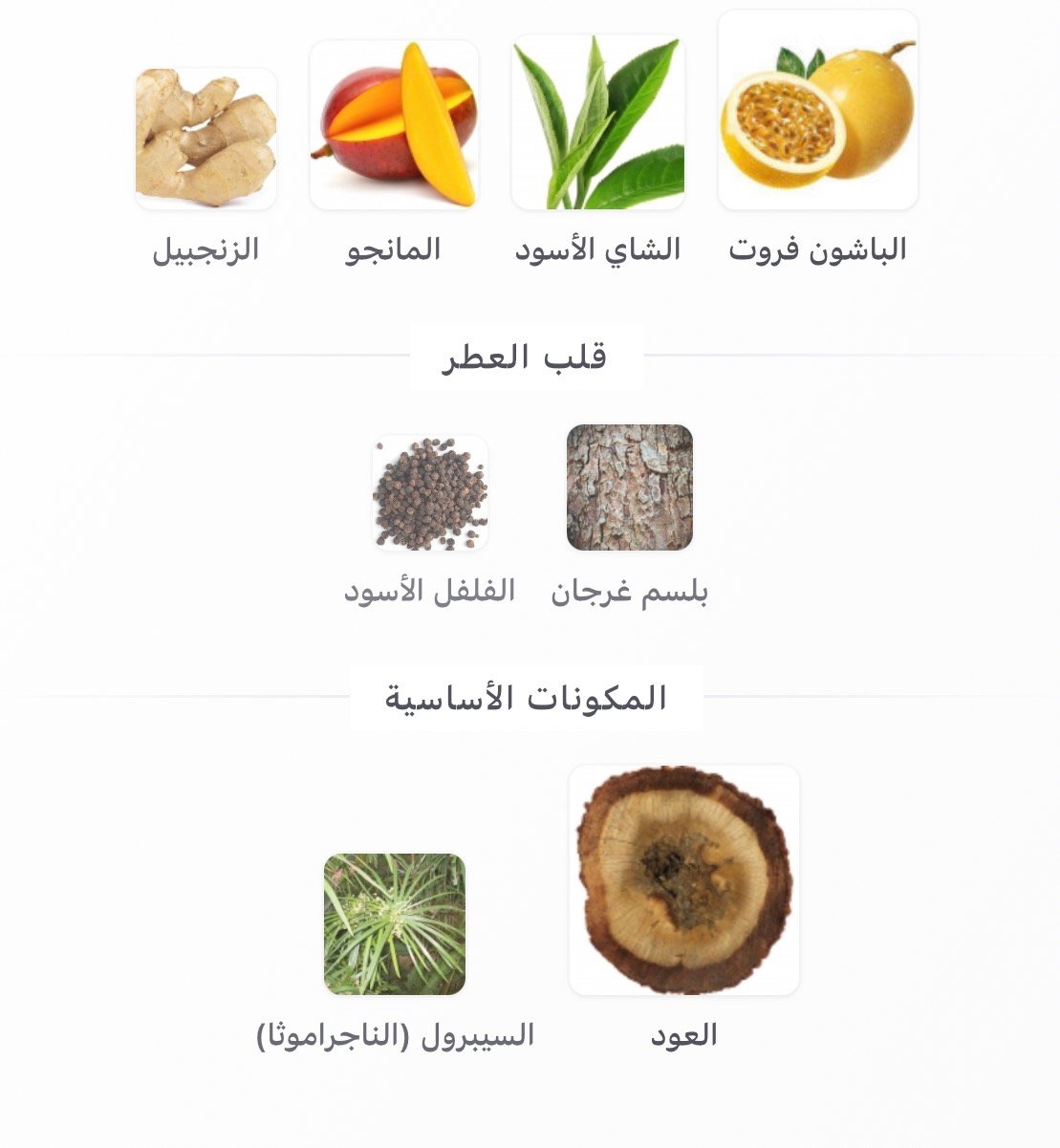 باشن فروت فوكازي - الصورة 3