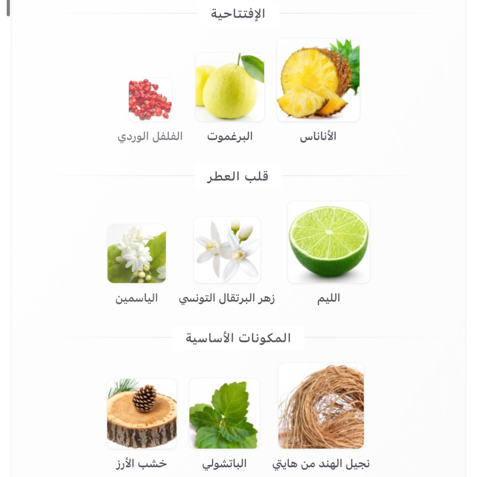 نيشان هاشيفات x - الصورة 2